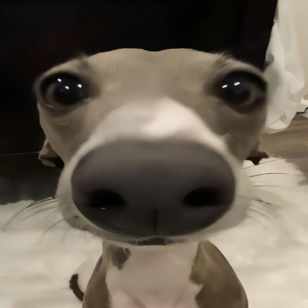 aud1r avatar