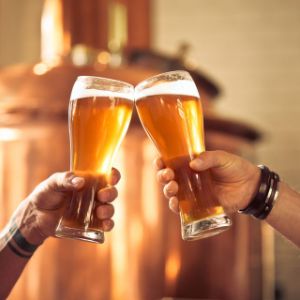 BeerDrinkers