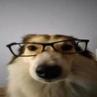 stasef avatar