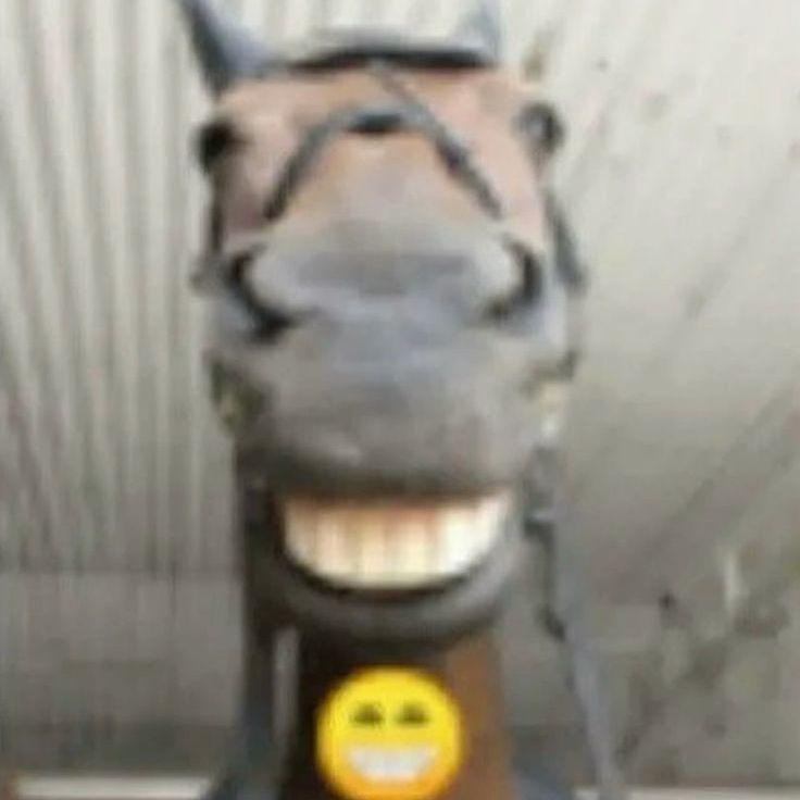 Trefueg0