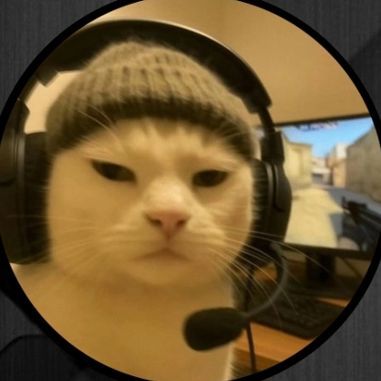 Faceit Avatar