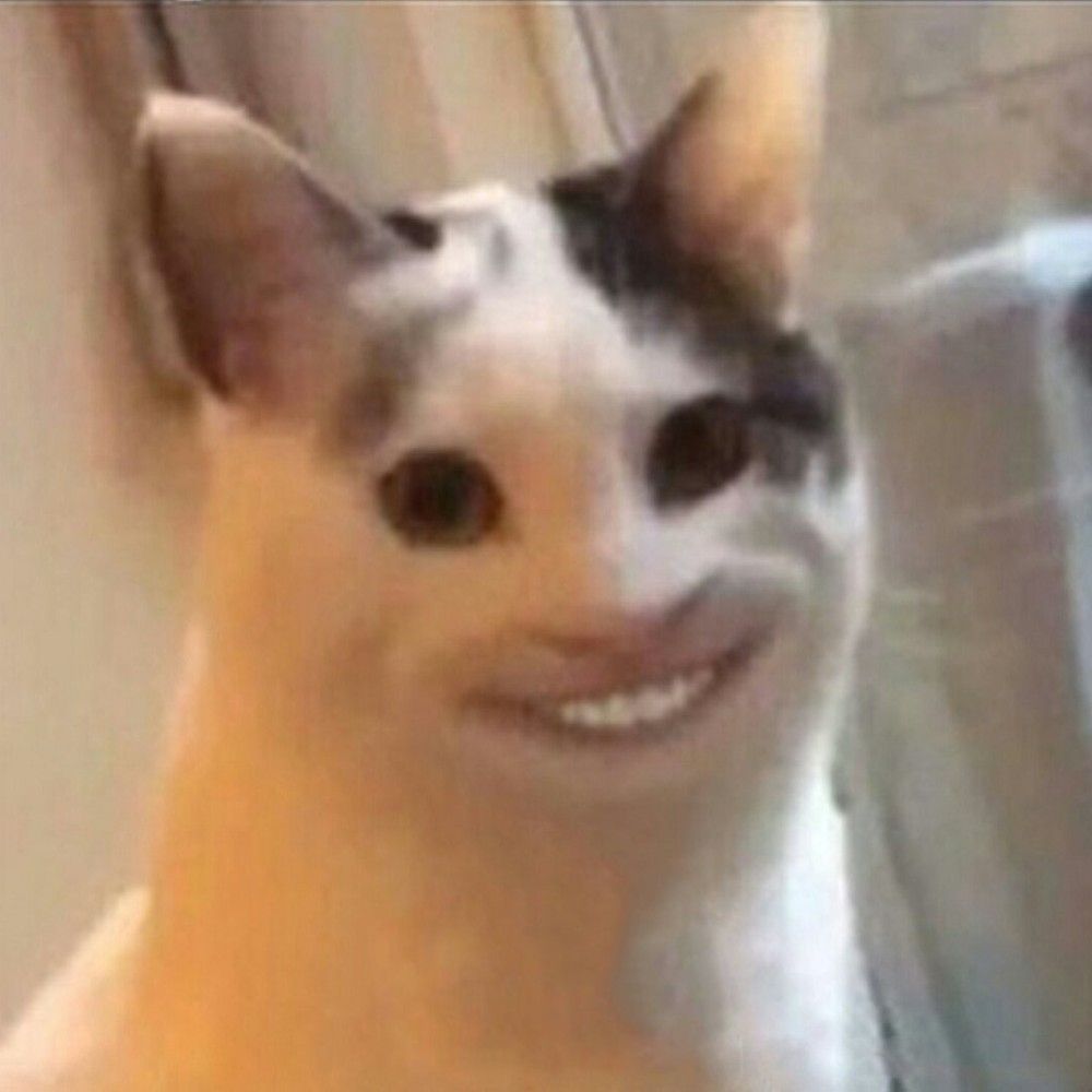nicekamikele