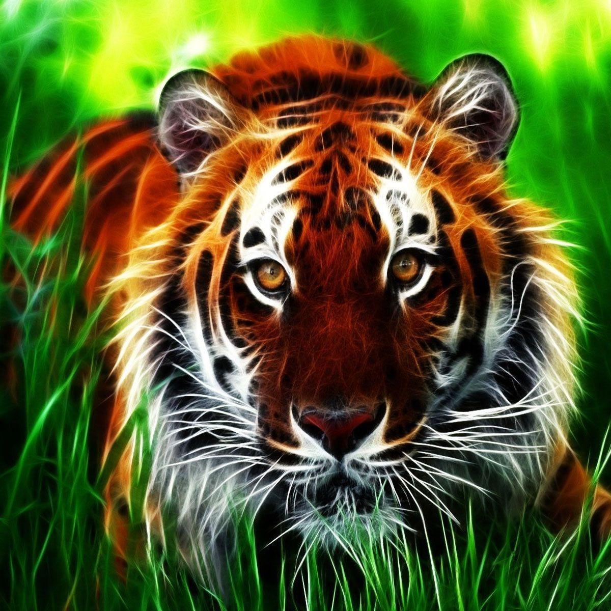 finest_tiger avatar