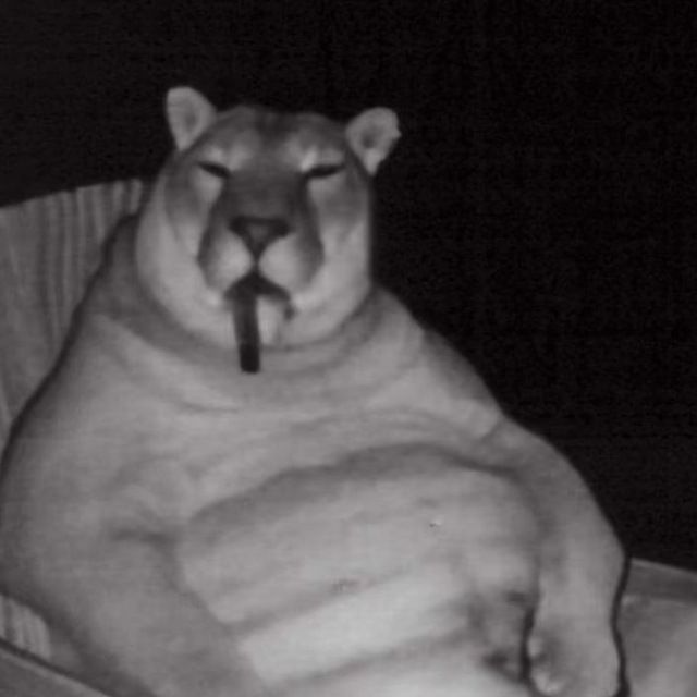 broodmothep