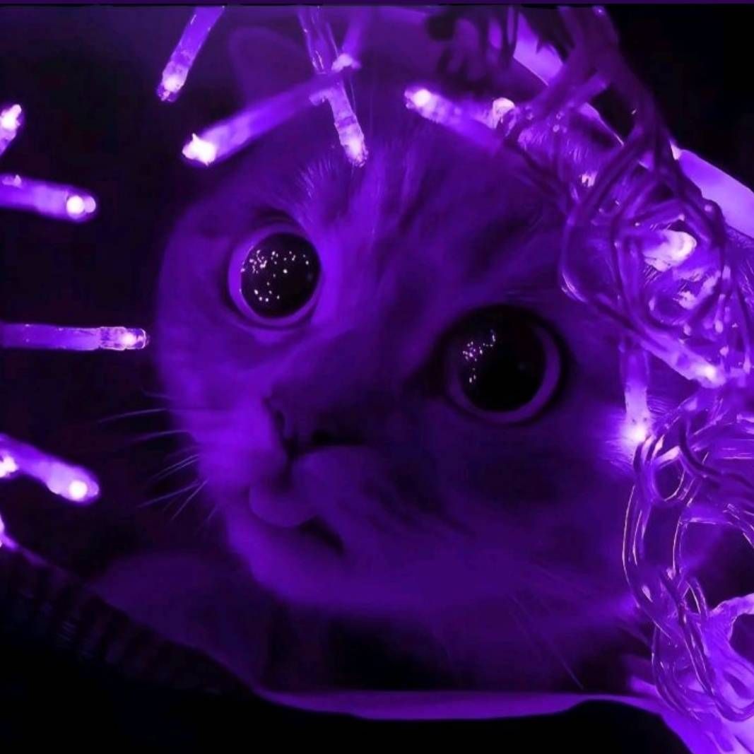 Bobka-_-