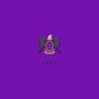 pausir avatar