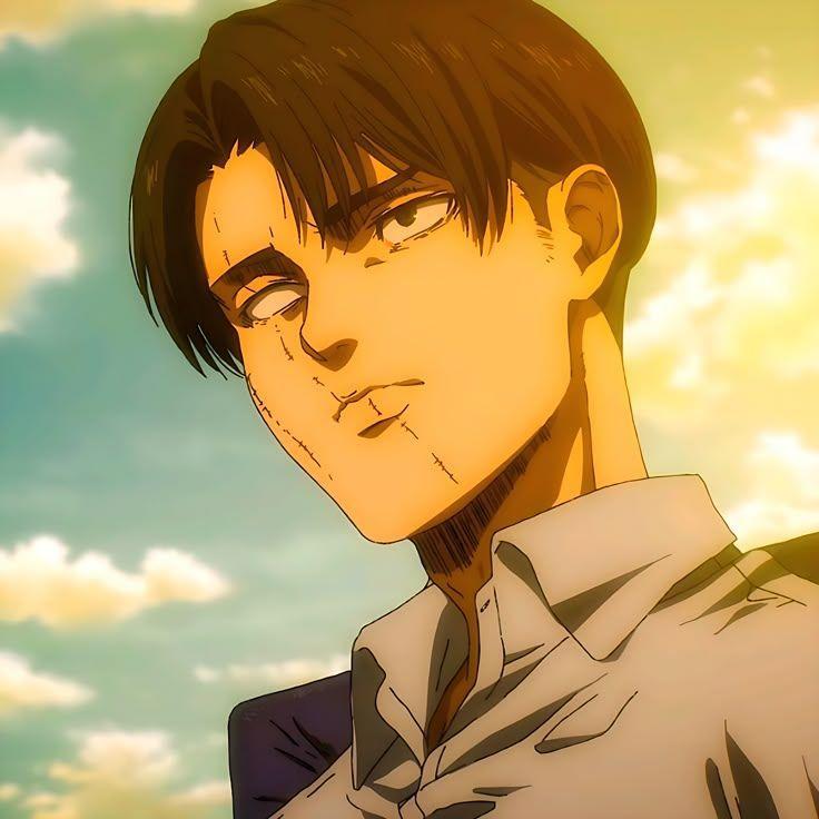 sterN avatar