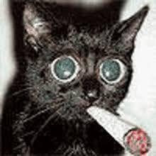 TheBongoLV avatar