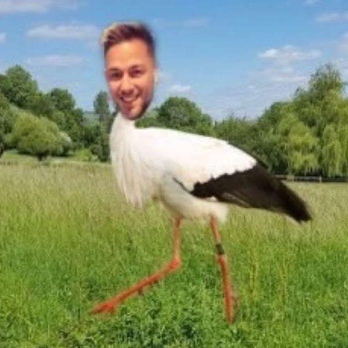 StorkeN1 avatar