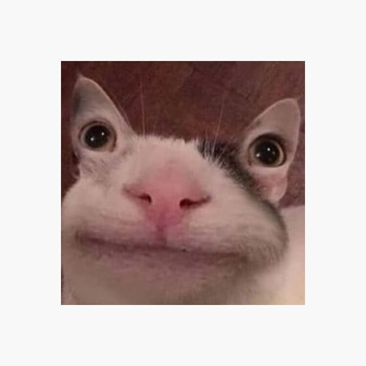 LilDivo
