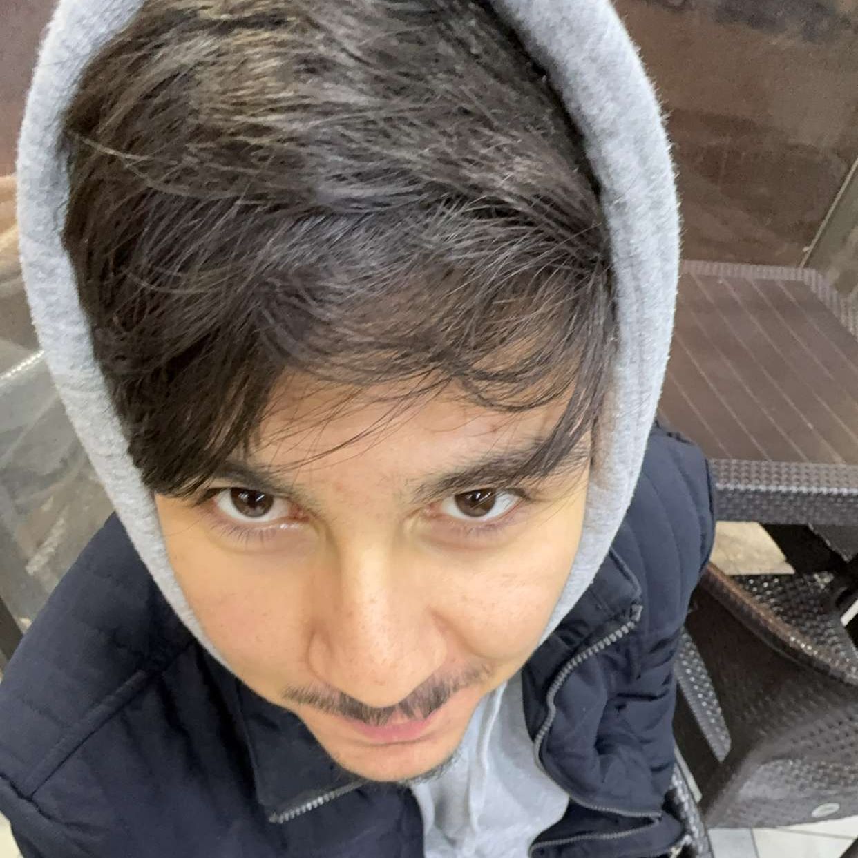 fatcat_32