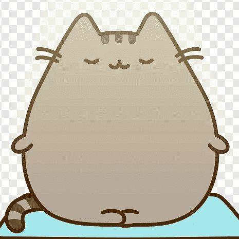 Player -Pusheen- avatar