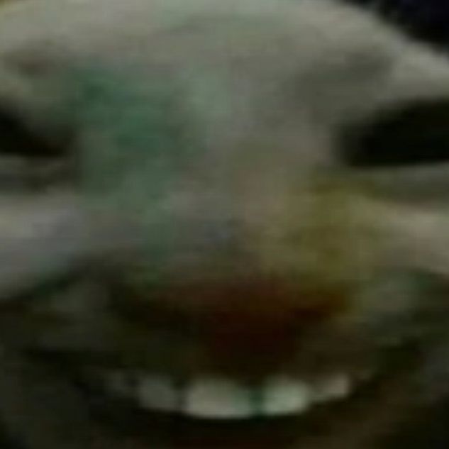 Konraadoo