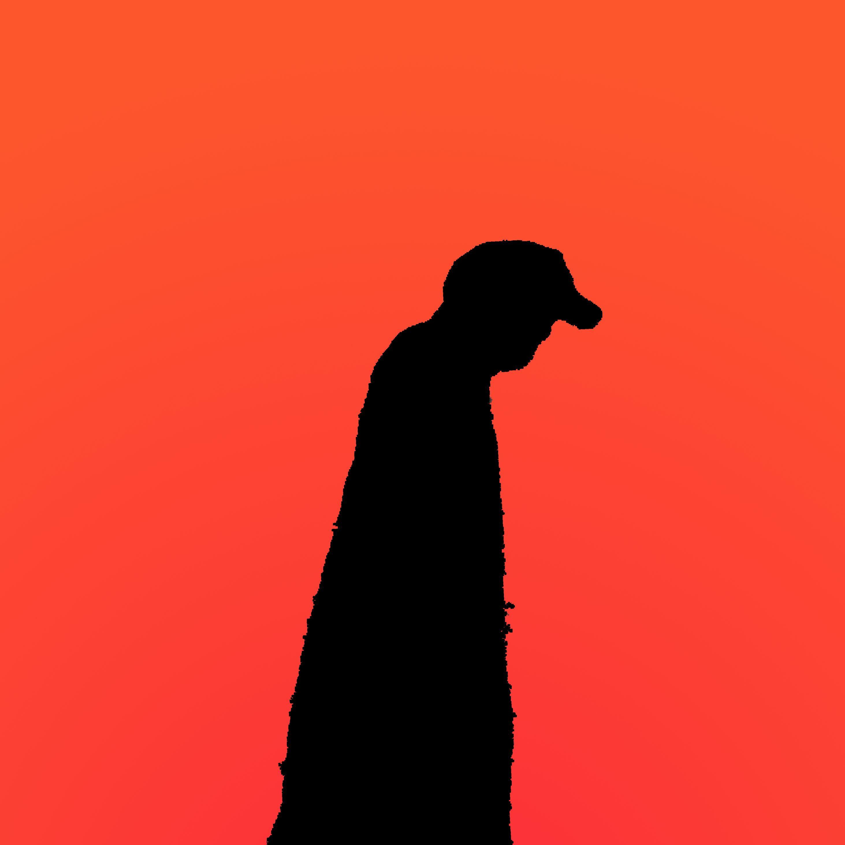 LYC4NXl avatar