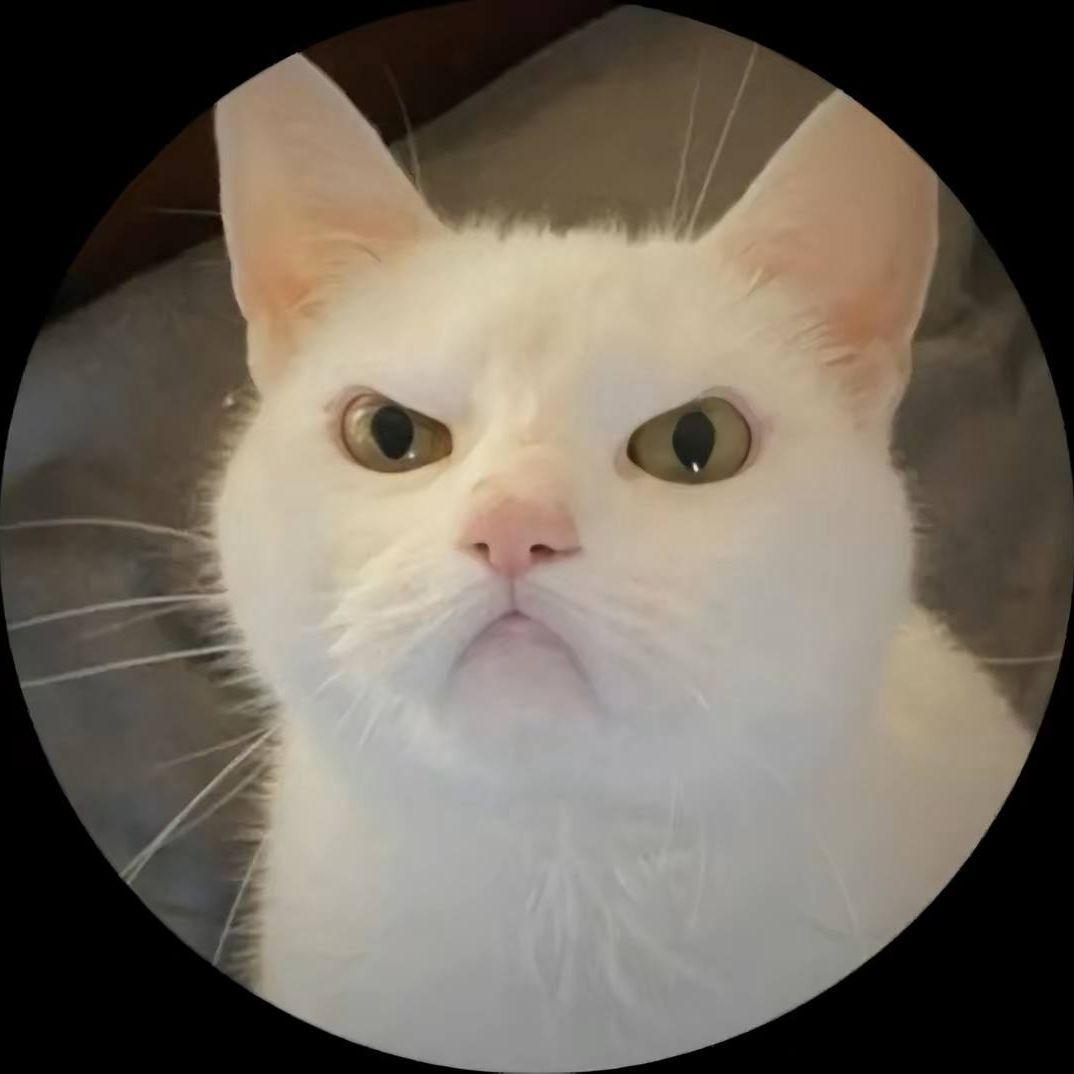 fr0qq avatar