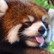 Bushidrilll avatar