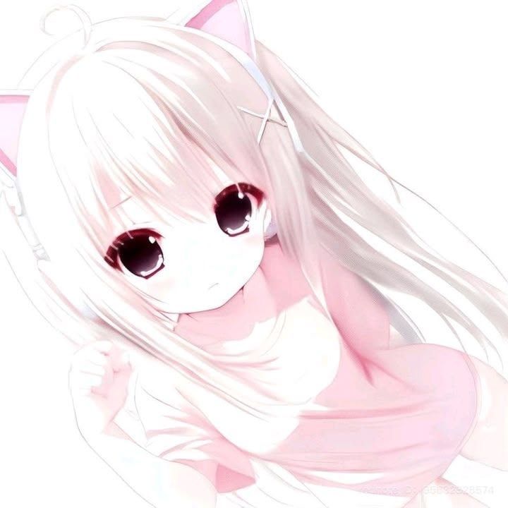 MusorDrop527