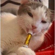 bwy