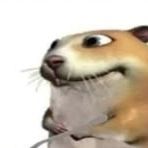 _GoryL__ FACEIT avatar