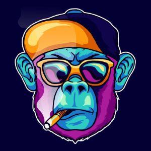 Kuan_kz avatar