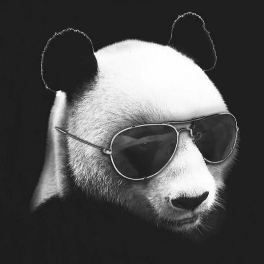 team_mutniy