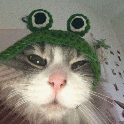 tohkeyo avatar