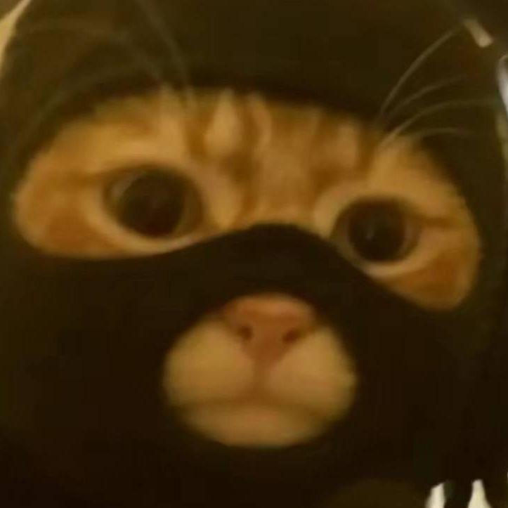 SoMuchBezdar avatar