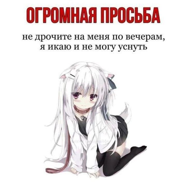dapohyu_ avatar