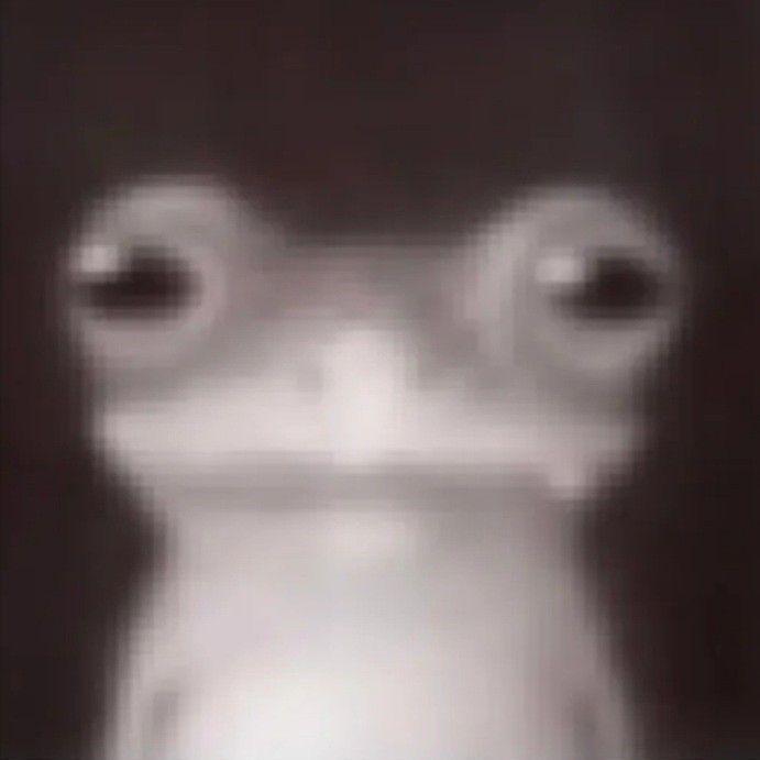 zabkaspoko avatar