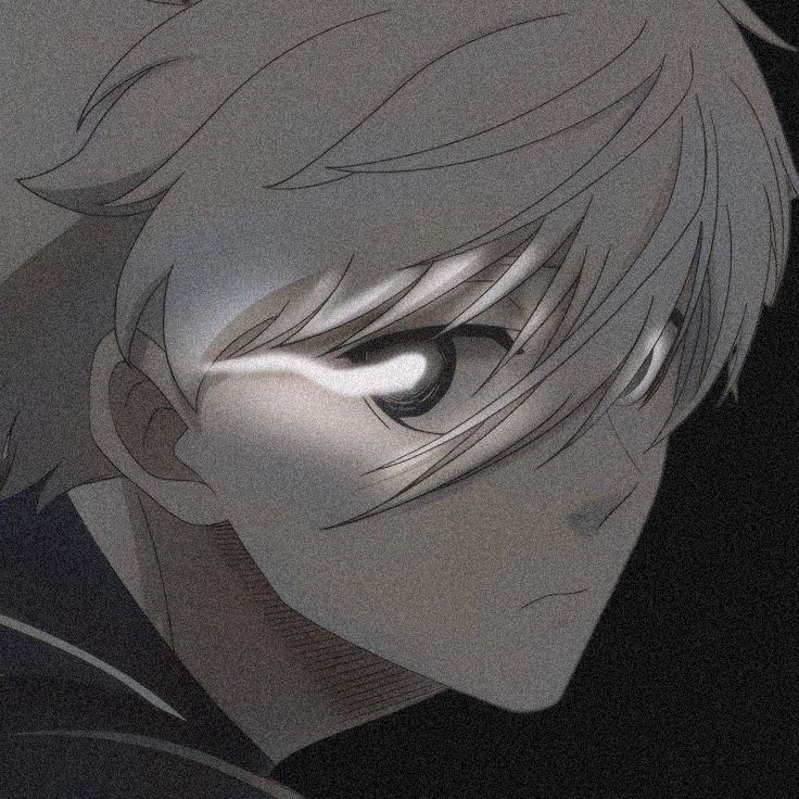 Ponyax