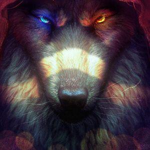 DukuuWolf avatar