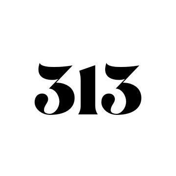 CODE 313