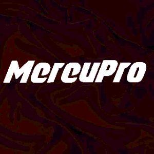 MereuPro- avatar