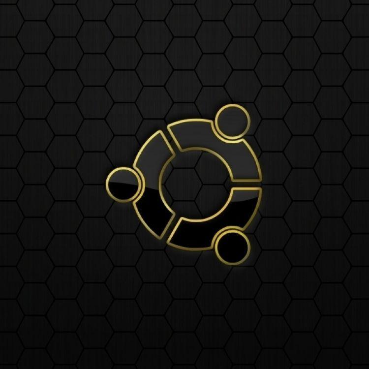 x5831616 avatar