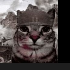 Hasse1 FACEIT avatar