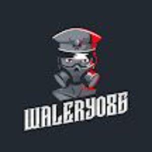 walery66 avatar