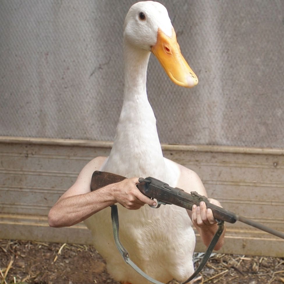 RushyDuck