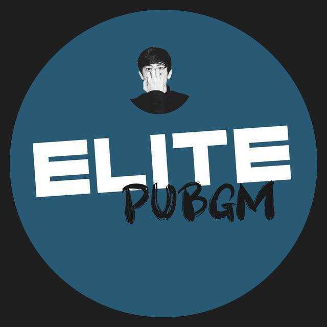 ELITE_PUBGM avatar