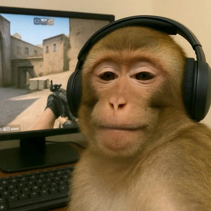 GiGipeek