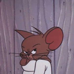 fortunavvv avatar