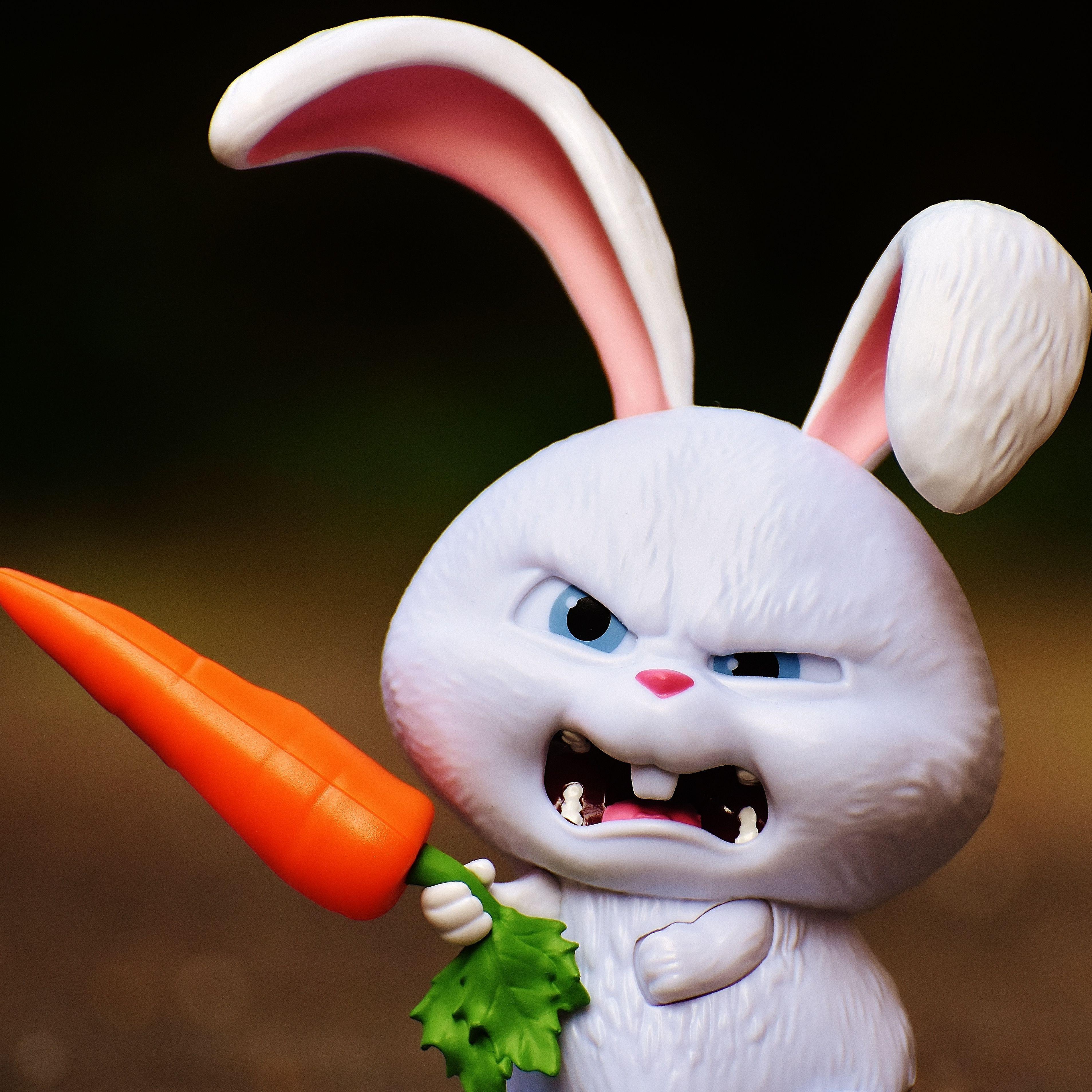 Про смешного зайца. Заяц с морковкой. Злой заяц с морковкой.