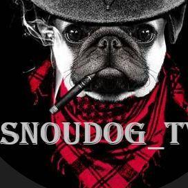 Player Snoudog avatar