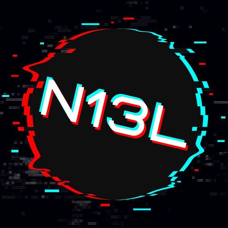 Player Ni3L avatar