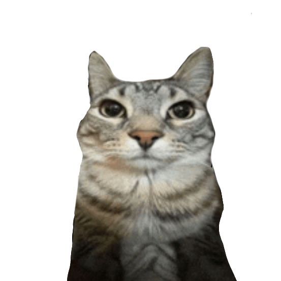 __Sh1mer__