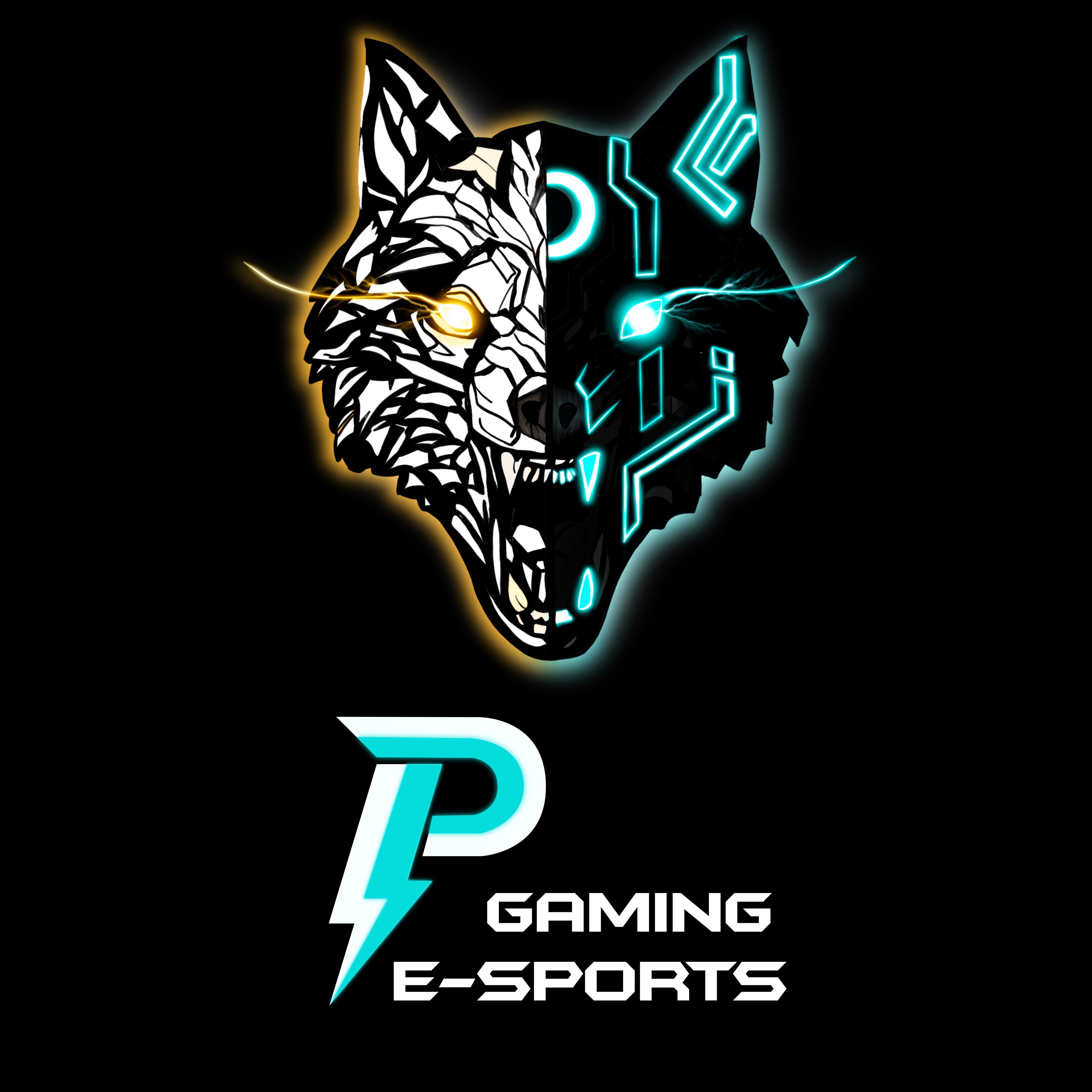 PGaming e-Sports