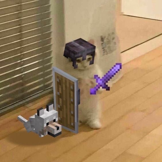 Catarawww