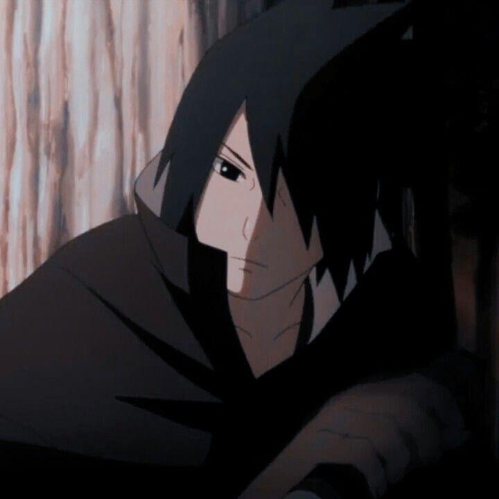 -zvy avatar