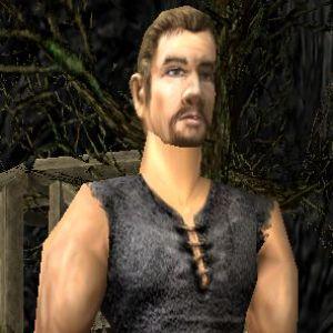 Player damarionn avatar