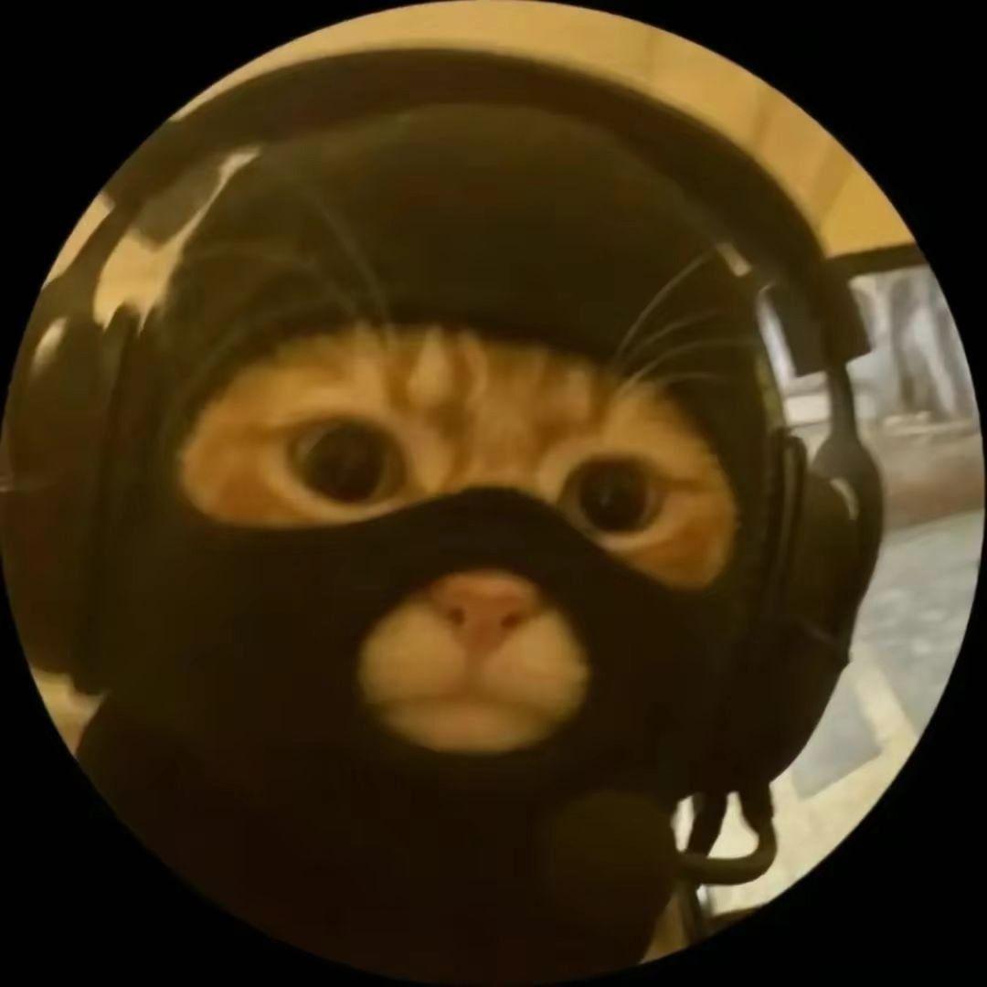 vveakest avatar