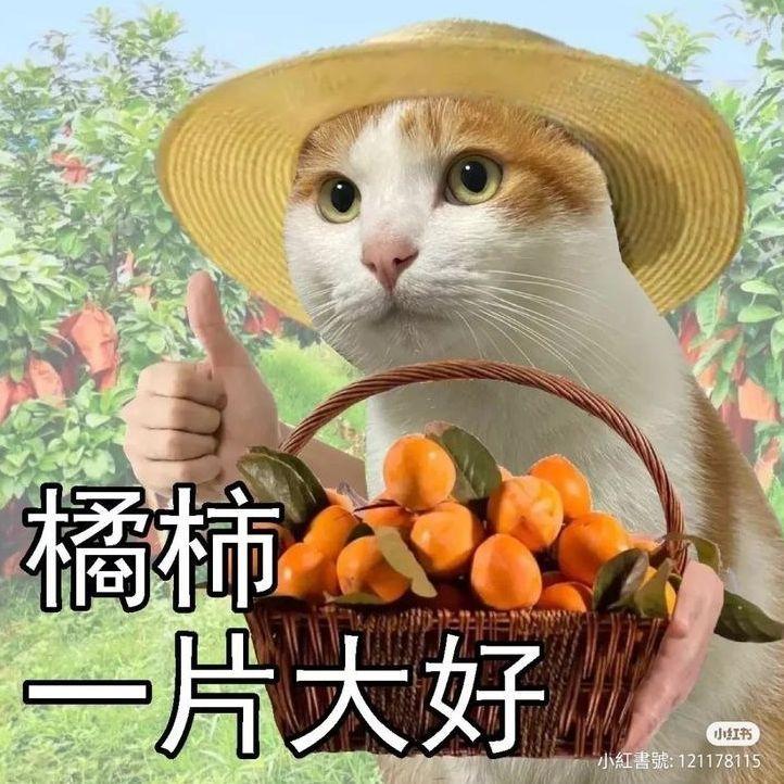 u3umaf avatar